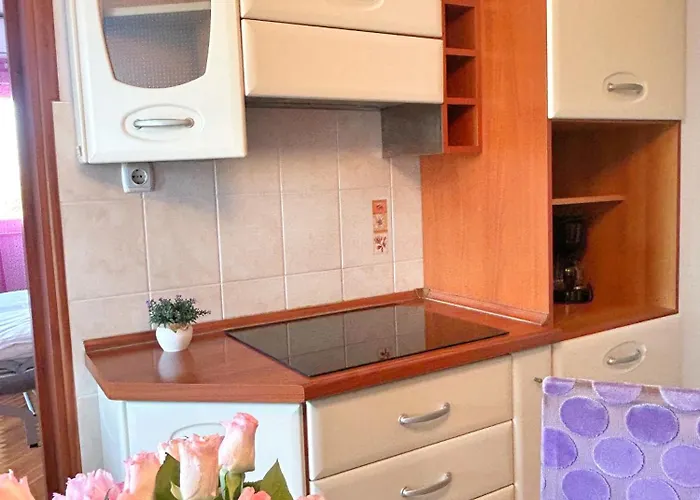 Apartment Dario