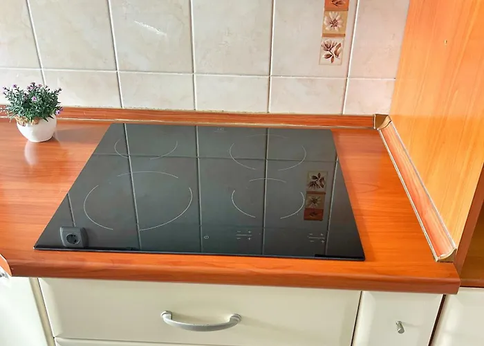 Apartment Dario