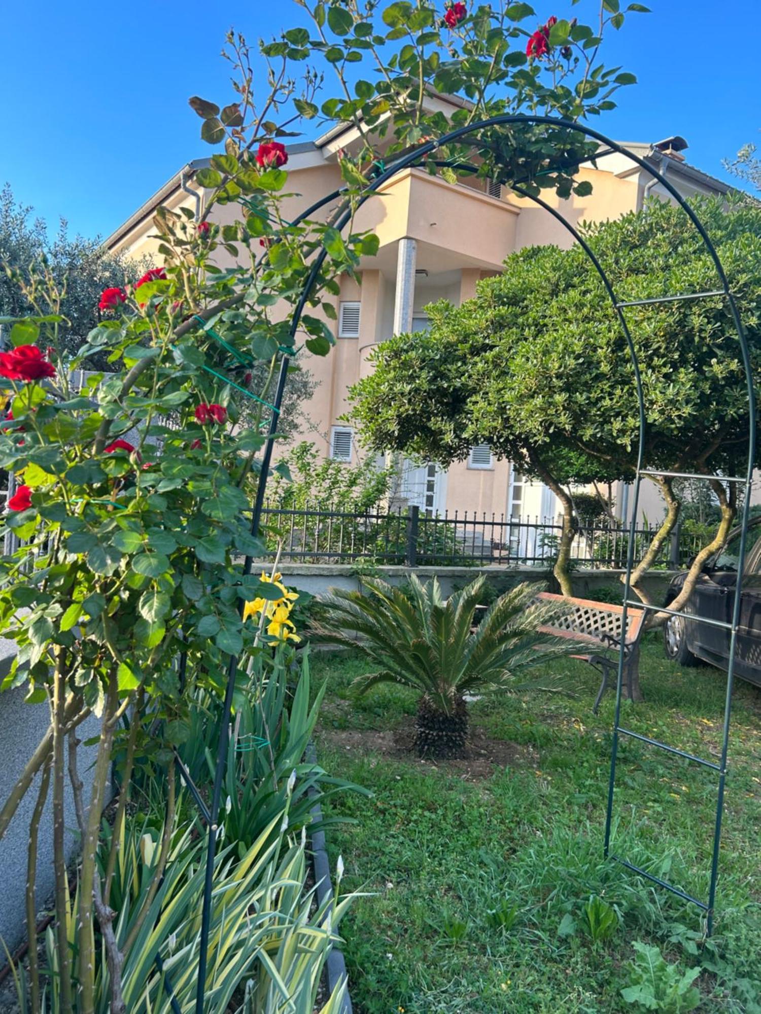 Apartment Dario
