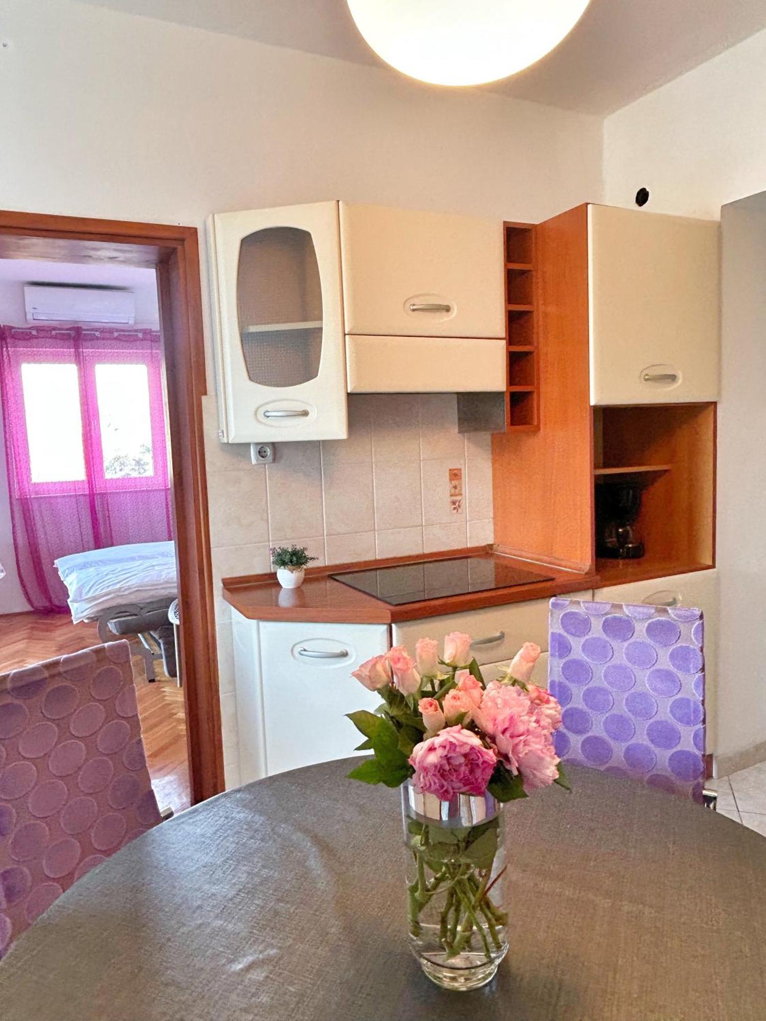 Apartment Dario *